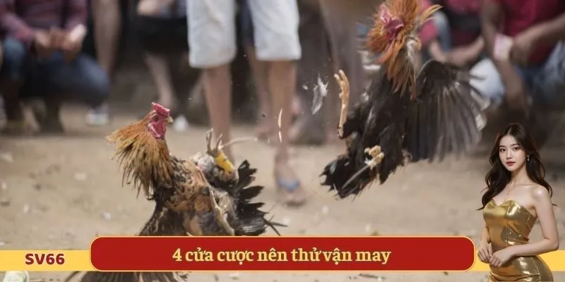 4 cửa cược nên thử vận may