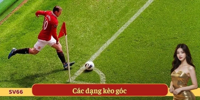 Các dạng kèo góc
