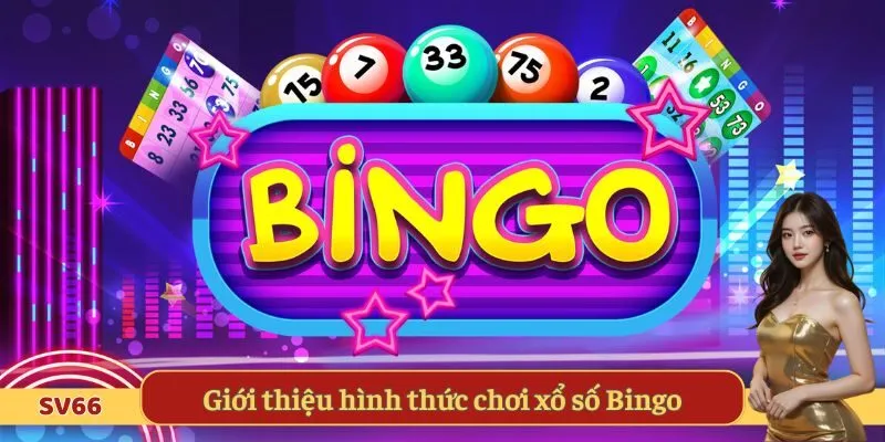 Giới thiệu hình thức chơi xổ số Bingo