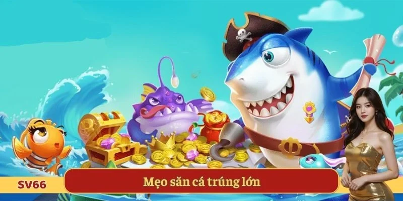 Mẹo săn cá trúng lớn