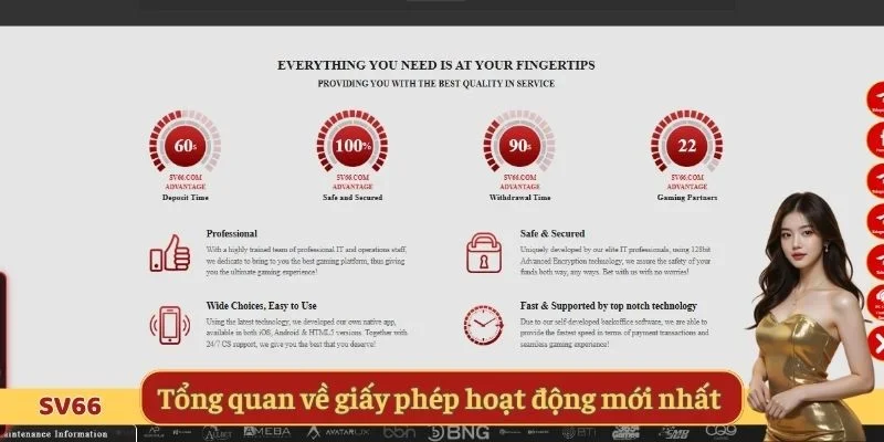 Tổng quan về giấy phép hoạt động mới nhất