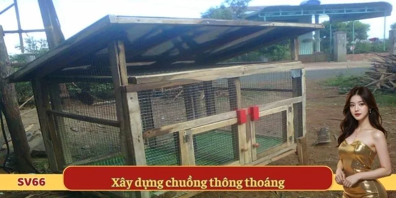 Xây dựng chuồng thông thoáng